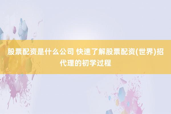 股票配资是什么公司 快速了解股票配资(世界)招代理的初学过程