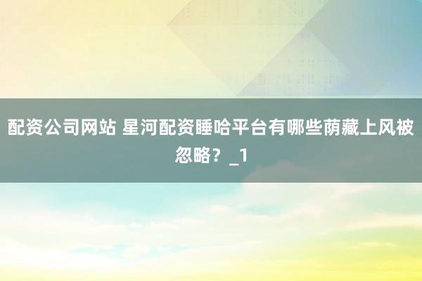 配资公司网站 星河配资睡哈平台有哪些荫藏上风被忽略?_1
