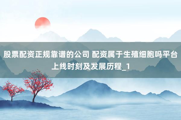 股票配资正规靠谱的公司 配资属于生殖细胞吗平台上线时刻及发展历程_1