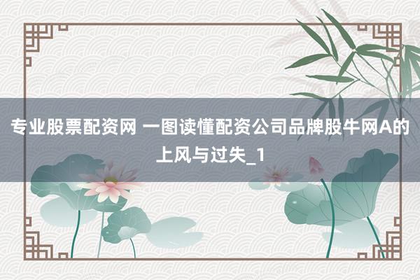 专业股票配资网 一图读懂配资公司品牌股牛网A的上风与过失_1